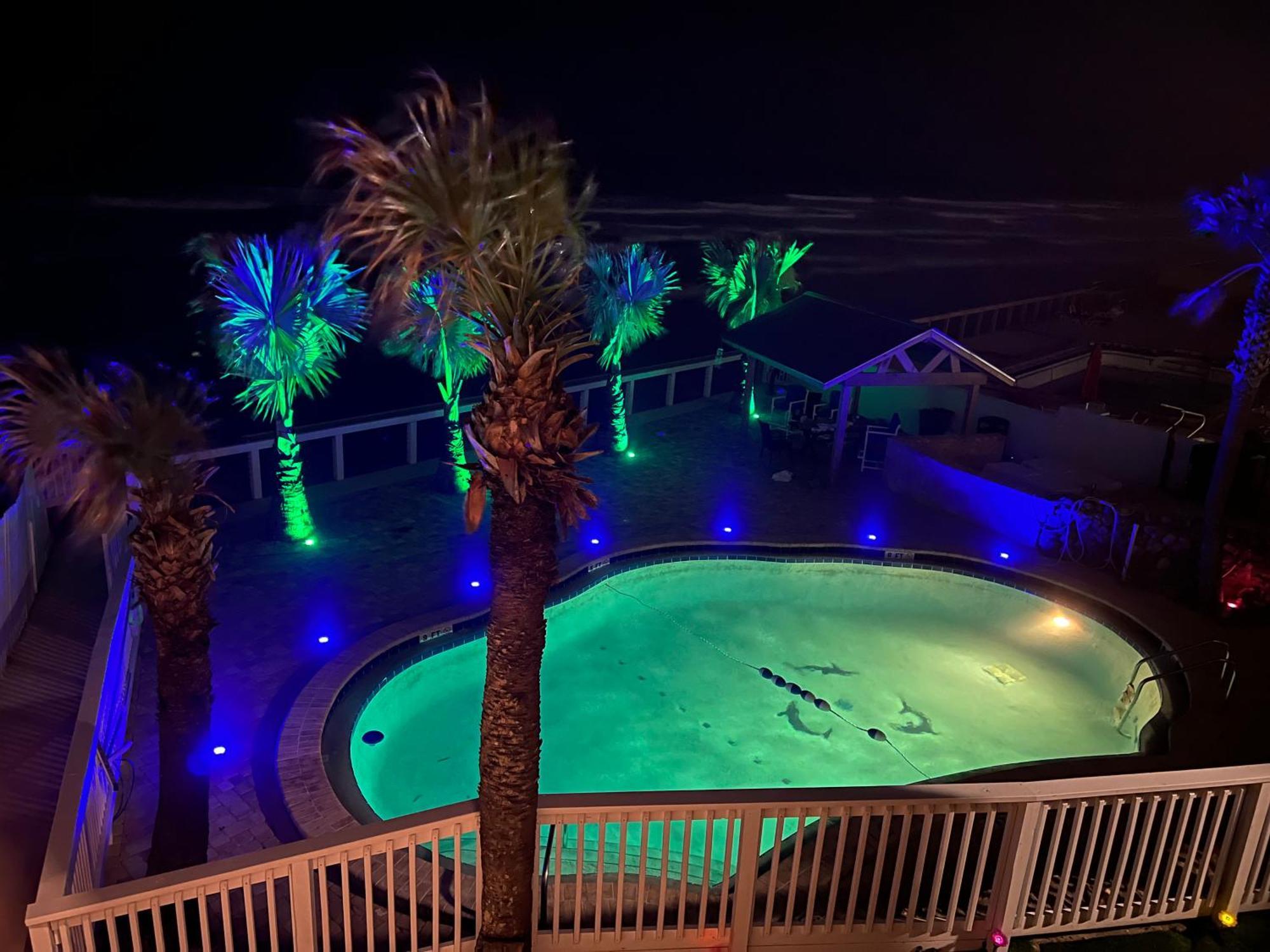 Flamingo Inn Beachfront - 데이토나 비치 외부 사진