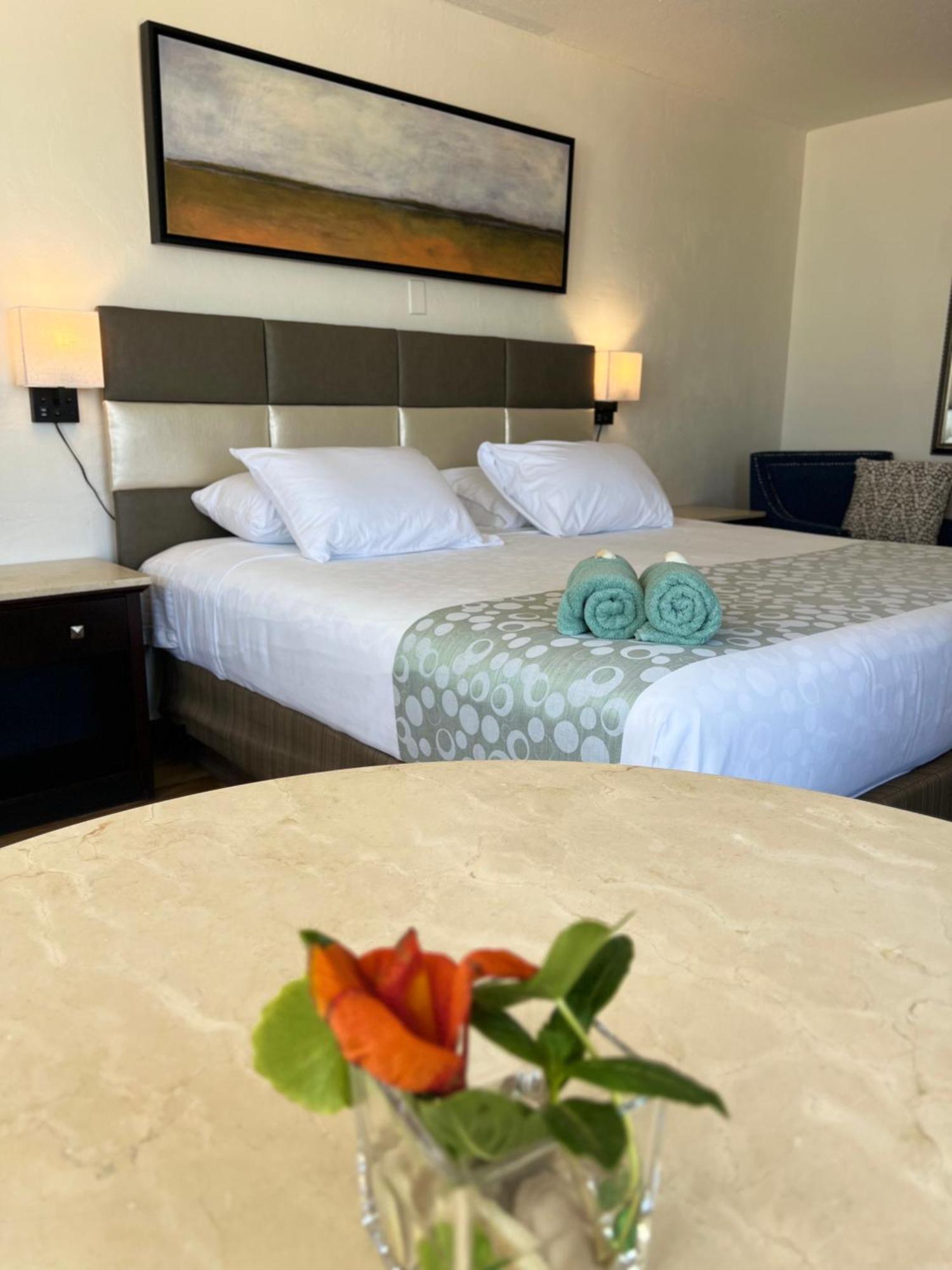 Flamingo Inn Beachfront - 데이토나 비치 외부 사진