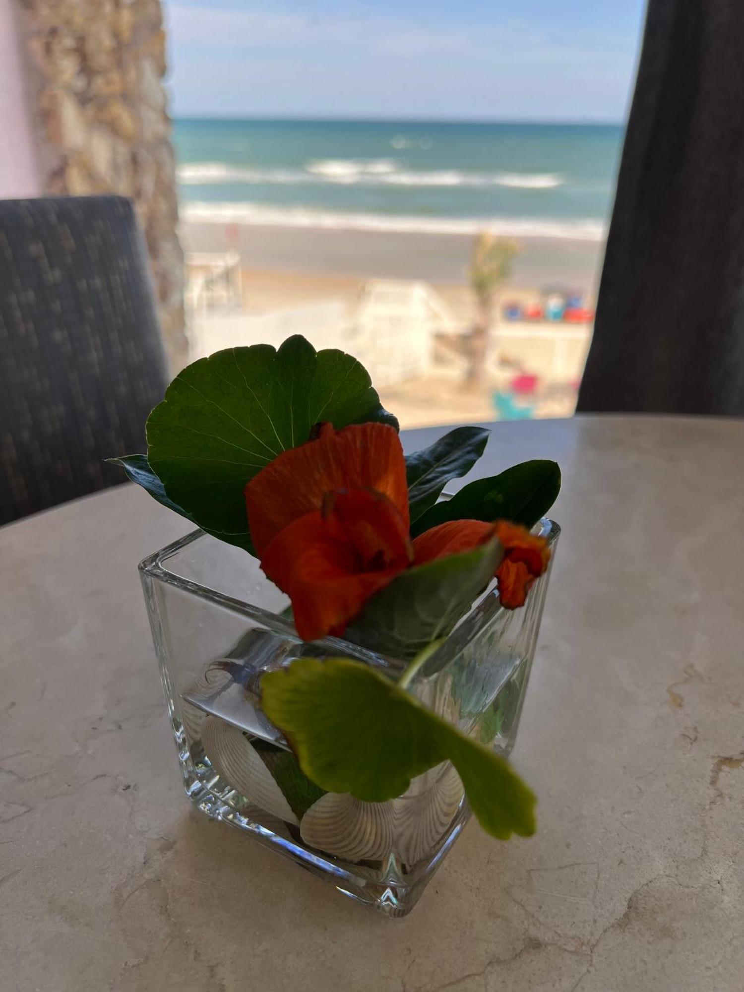 Flamingo Inn Beachfront - 데이토나 비치 외부 사진