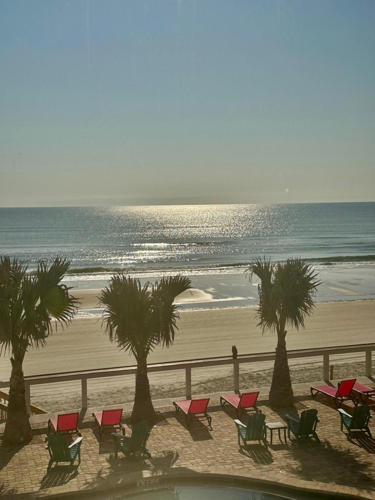 Flamingo Inn Beachfront - 데이토나 비치 외부 사진