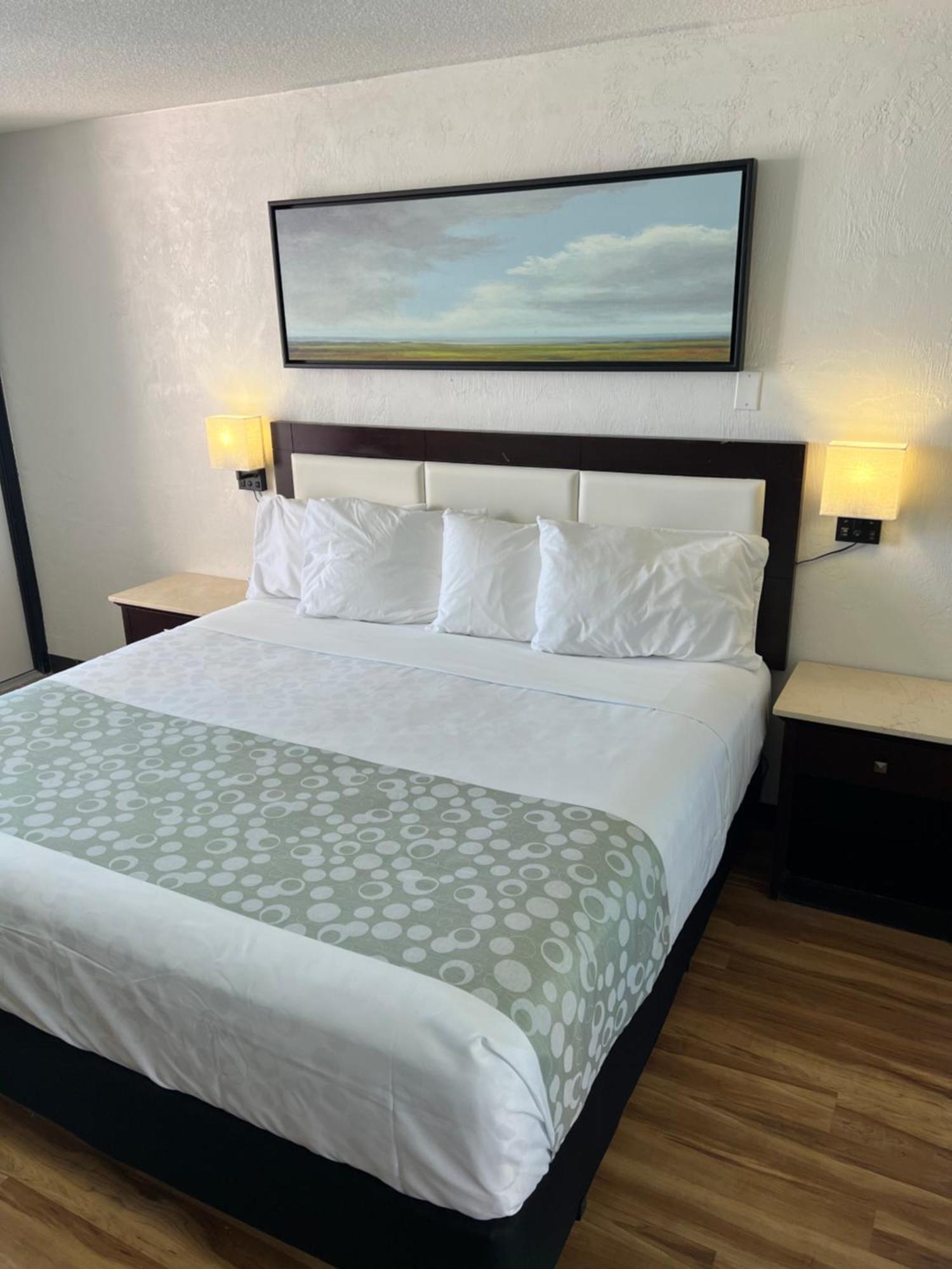 Flamingo Inn Beachfront - 데이토나 비치 외부 사진