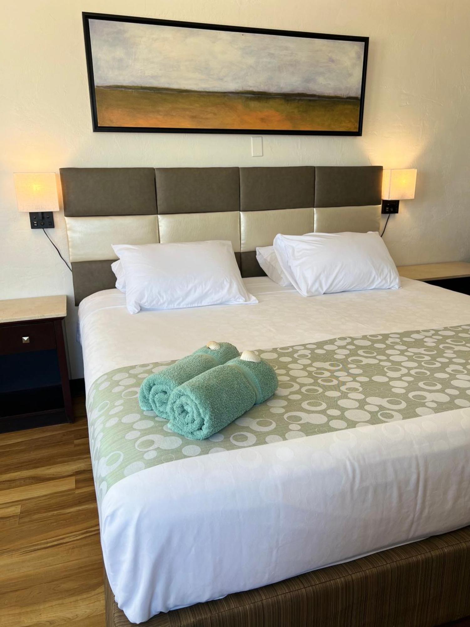 Flamingo Inn Beachfront - 데이토나 비치 외부 사진